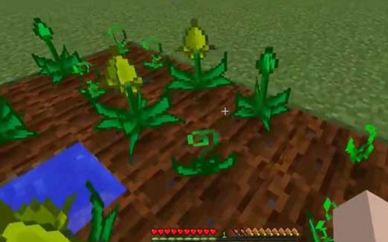 An image of one of the modded plants in Mystical Agriculture. (Image via Mojang).