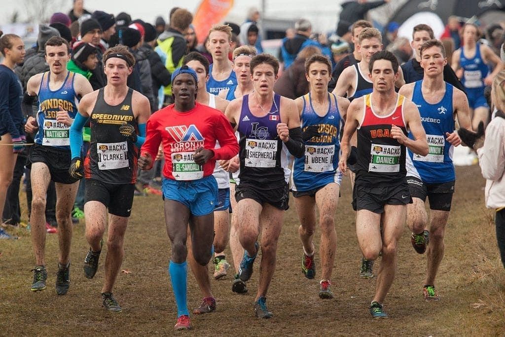 A file picture of a Cross Country Championships in progress (Image credits: Google)