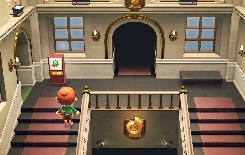 The Roost was teased in a short video that is exciting Animal Crossing players. (Image via Nintendo)