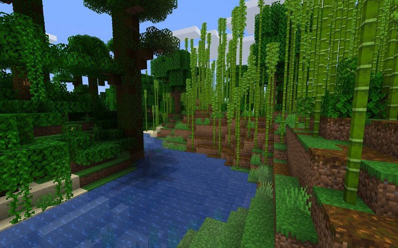 An image of a bamboo forest in Minecraft. (Image via Mojang).