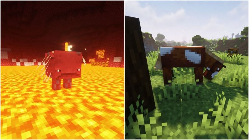 They behave quite similarly (Image via Minecraft)
