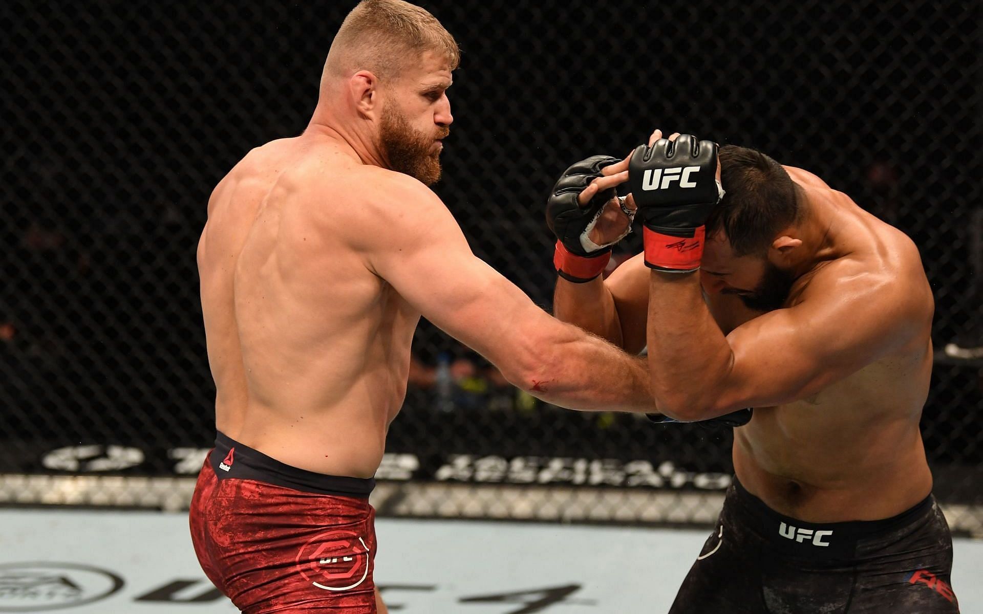 5 reasons why the light heavyweight division is one of the most exciting in the UFC
