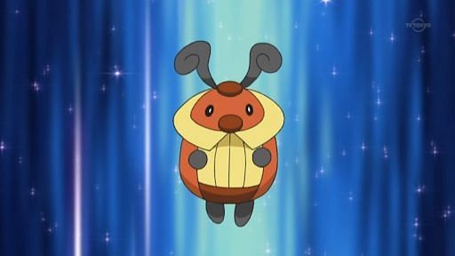 Kricketot in the anime (Image via The Pokemon Company)