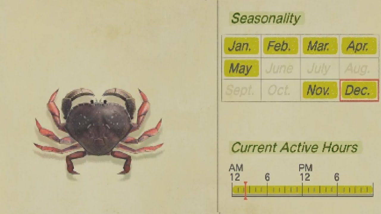 Dungeness crab is available in the Northern Hemisphere starting in November. Image via Nintendo