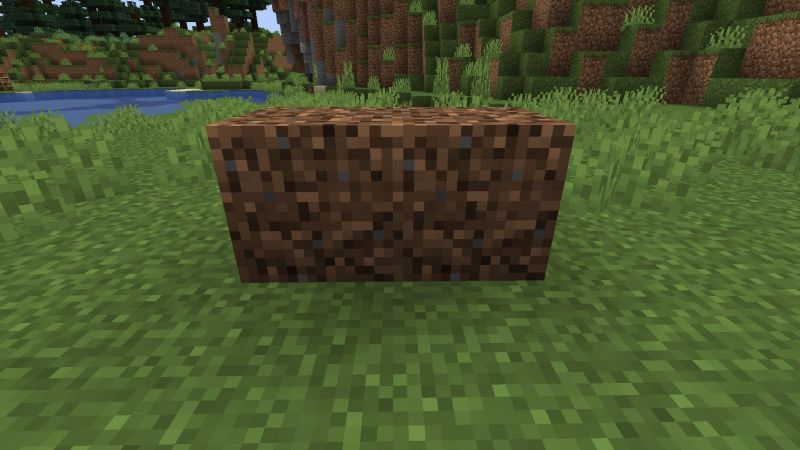 What does coarse dirt do in Minecraft?