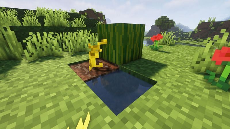 Growing a melon (Image via Minecraft)