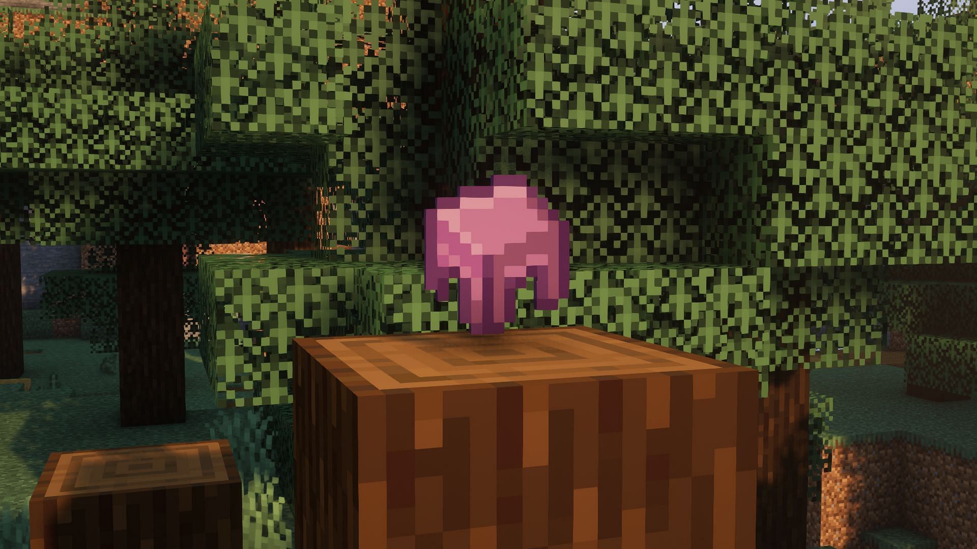 A shulker shell (Image via Minecraft)