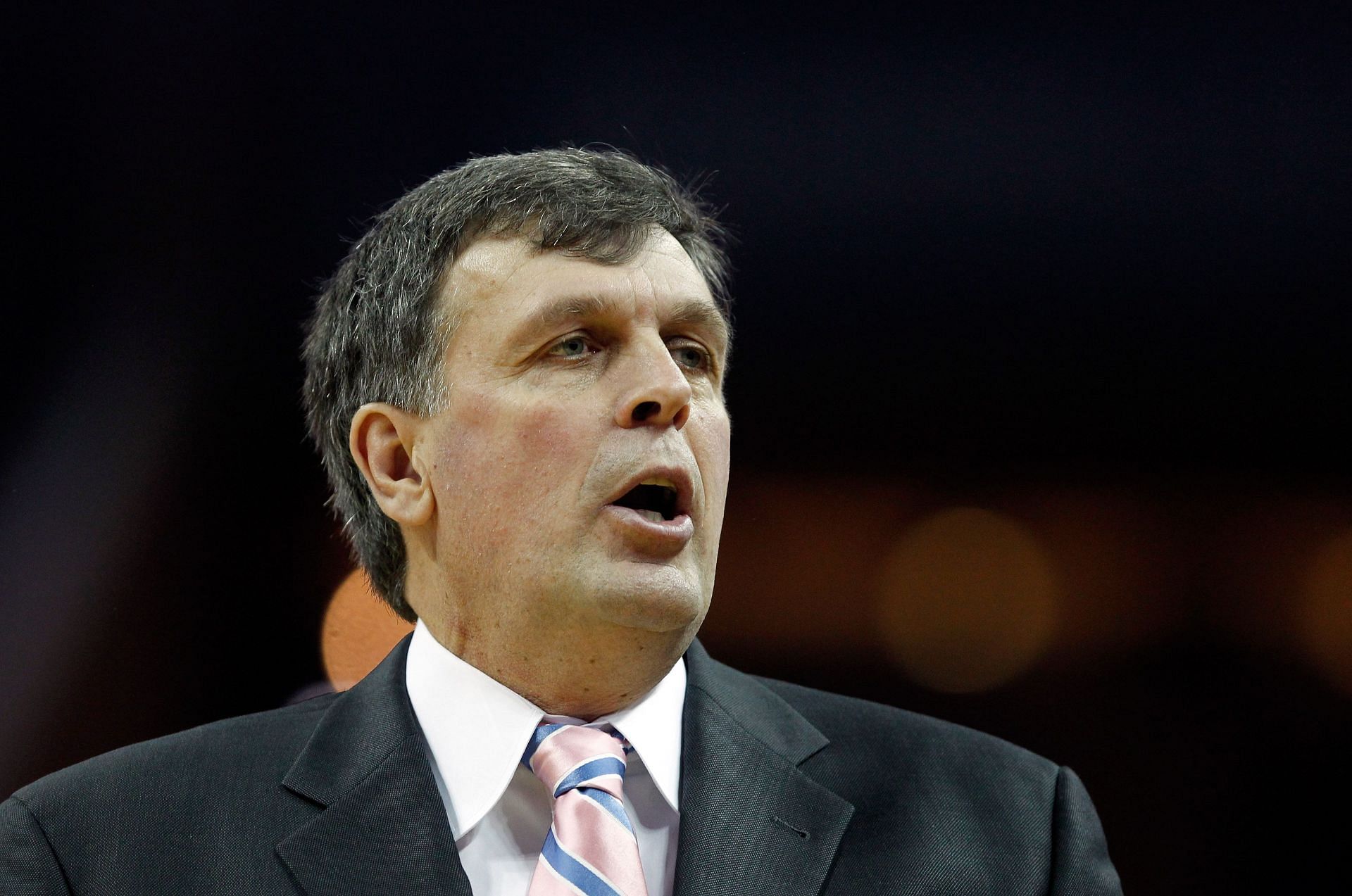 Kevin McHale was the Minnesota Timberwolves&#039; vice president from 1995 to 2008