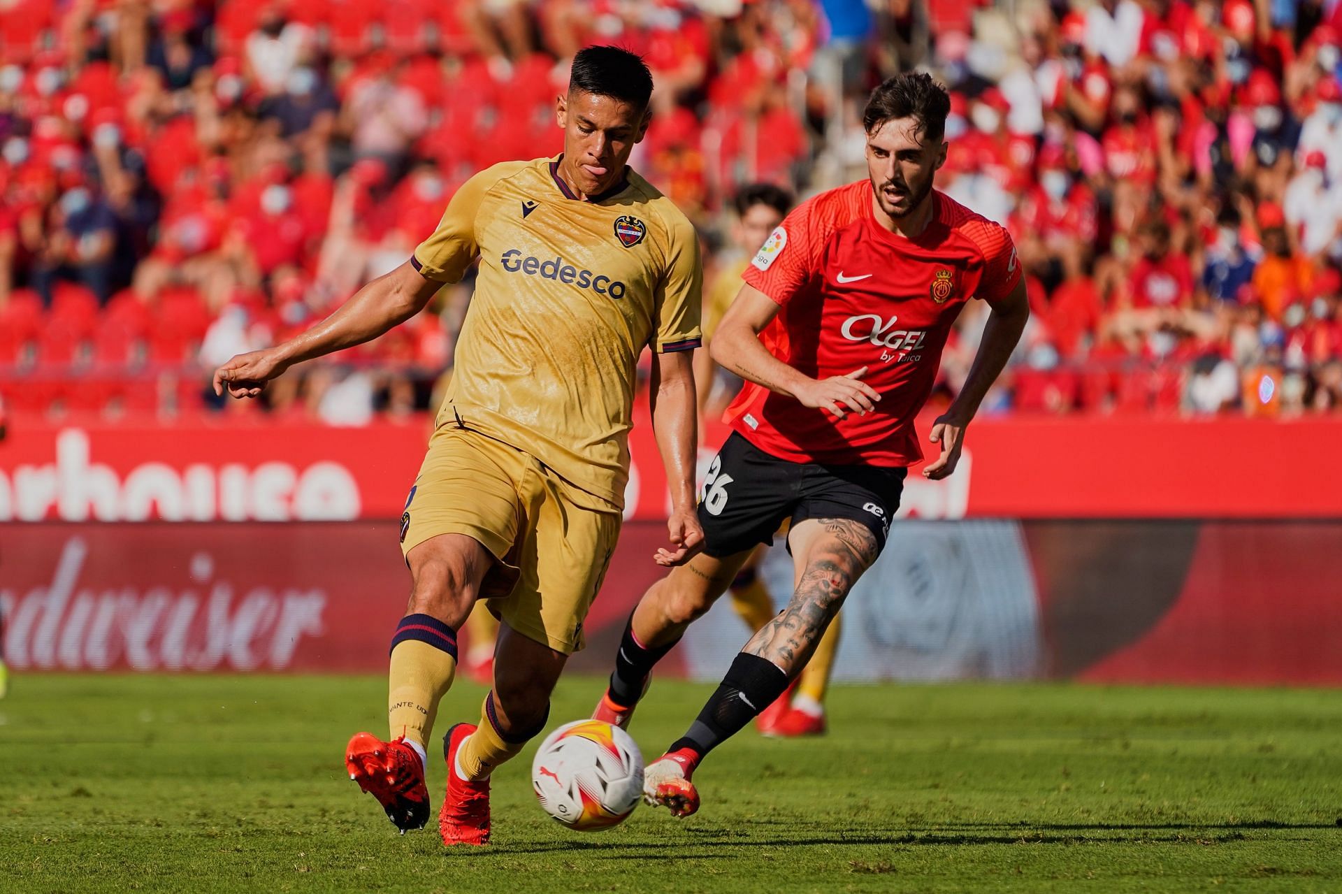 Rafael Nadal is a fan of RCD Mallorca