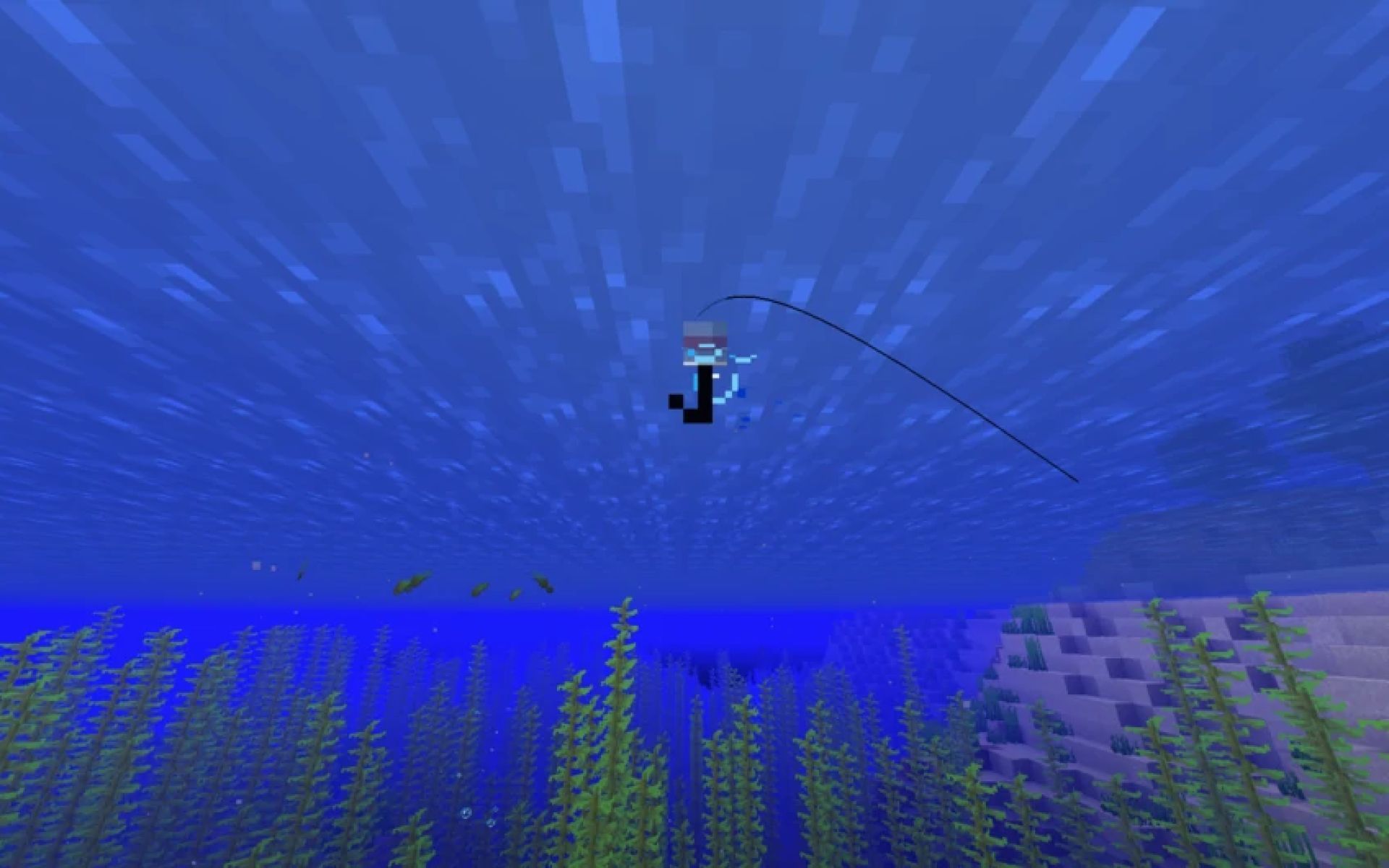 There are a number of treasure items that players can get by fishing in-game. Image via Minecraft.