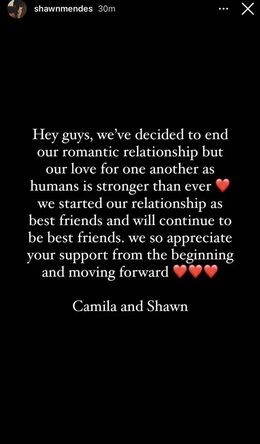 The statement (Image via shawnmendes/Instagram)
