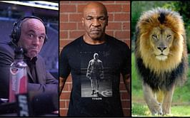 "There was a lion in the front yard loose" - When Charlie Murphy told Joe Rogan the incredible story of Mike Tyson wrestling with his pet lion