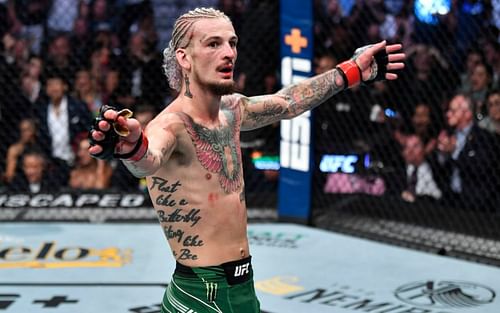 Sean O'Malley sports one of the wildest hairstyles in the UFC