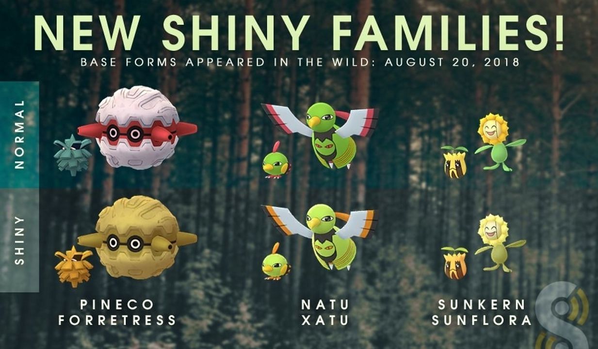 Sunkern&#039;s shiny form was introduced along with its Johto region counterparts Pineco and Natu (Image via Niantic/The Silph Road)