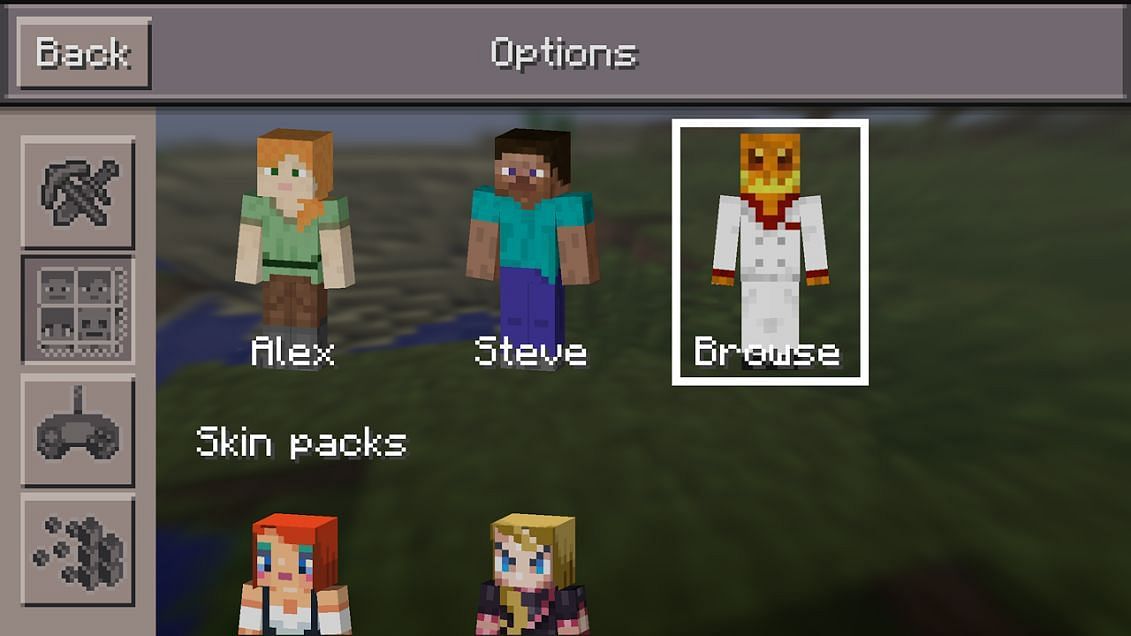 Players can browse their custom skins to add them to the game (Image via Minecraft)