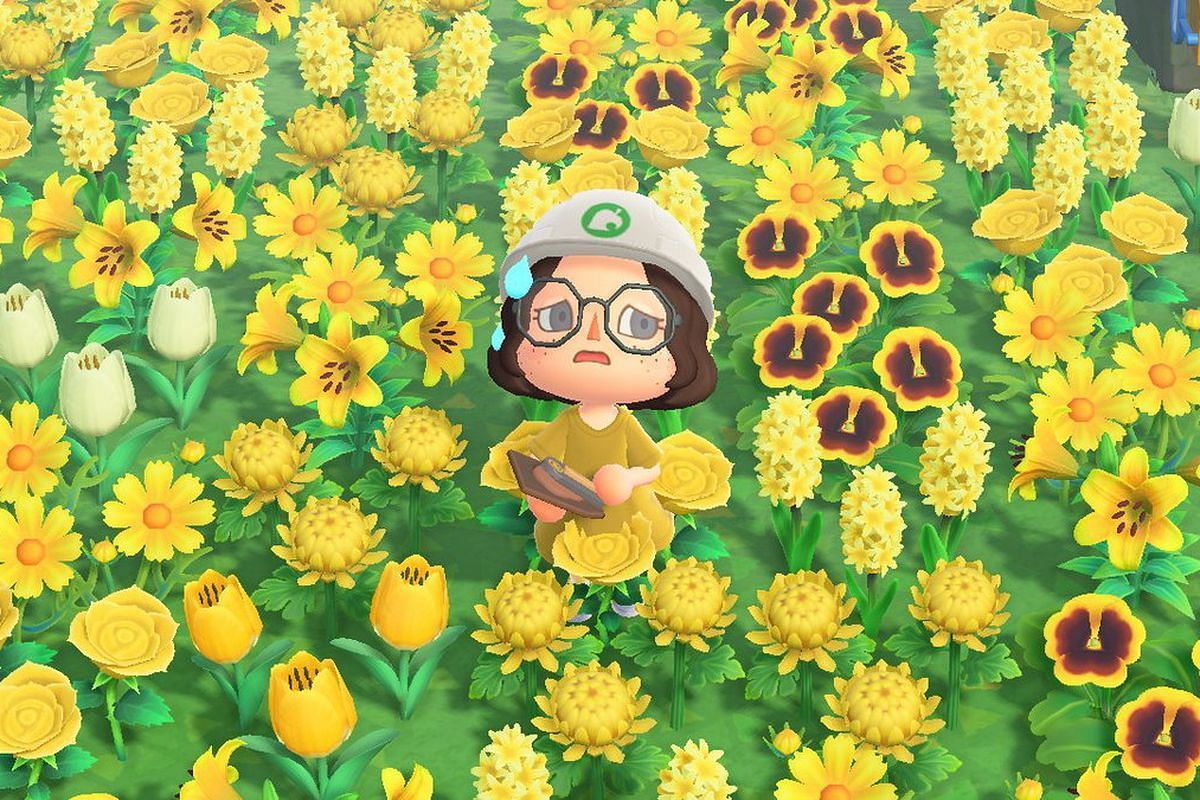 Beautiful island ordinance will cause more flowers to grow. (Image via Nintendo)