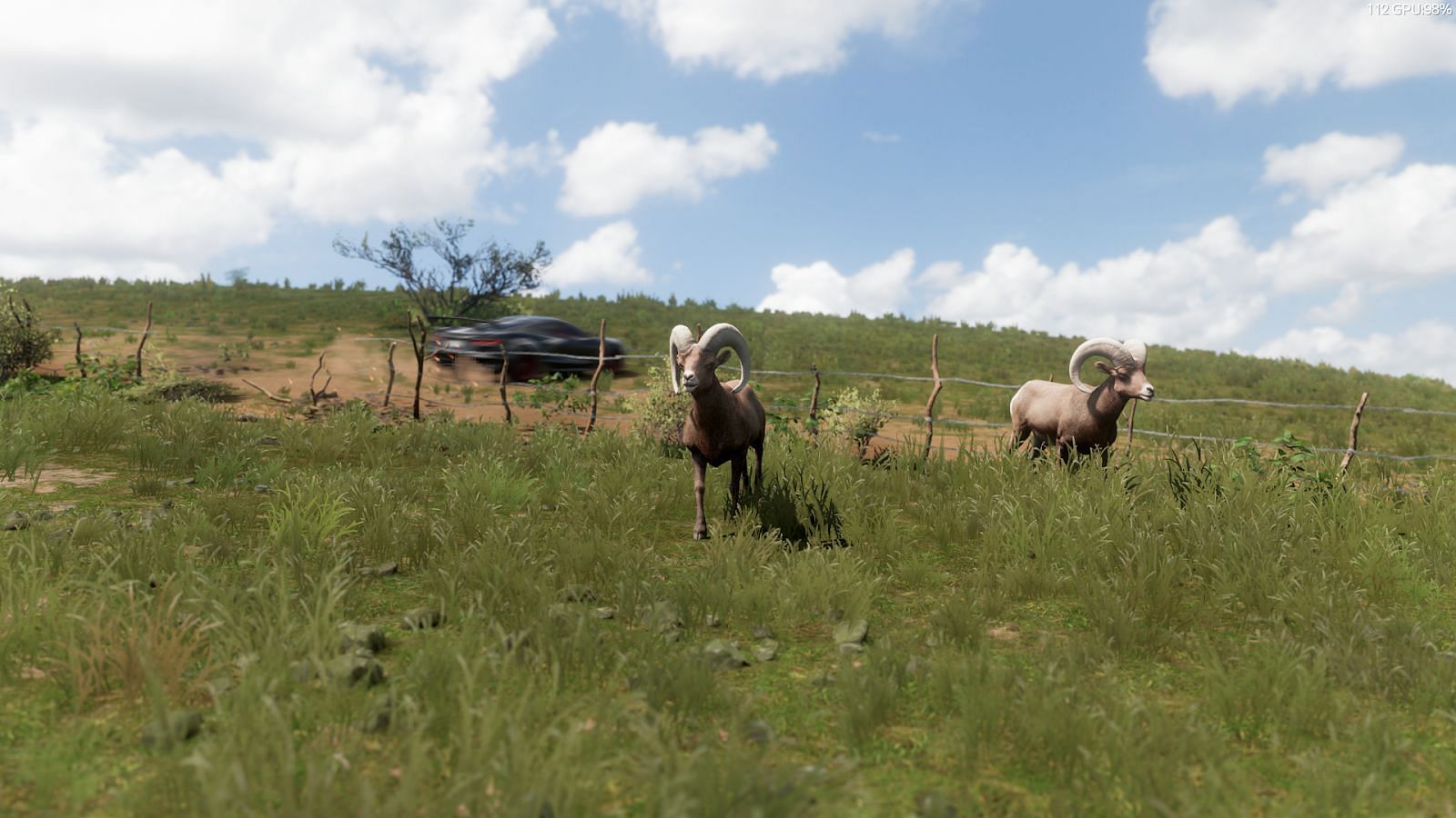 Animals are interesting to look at (Screengrab from Forza Horizon 5)