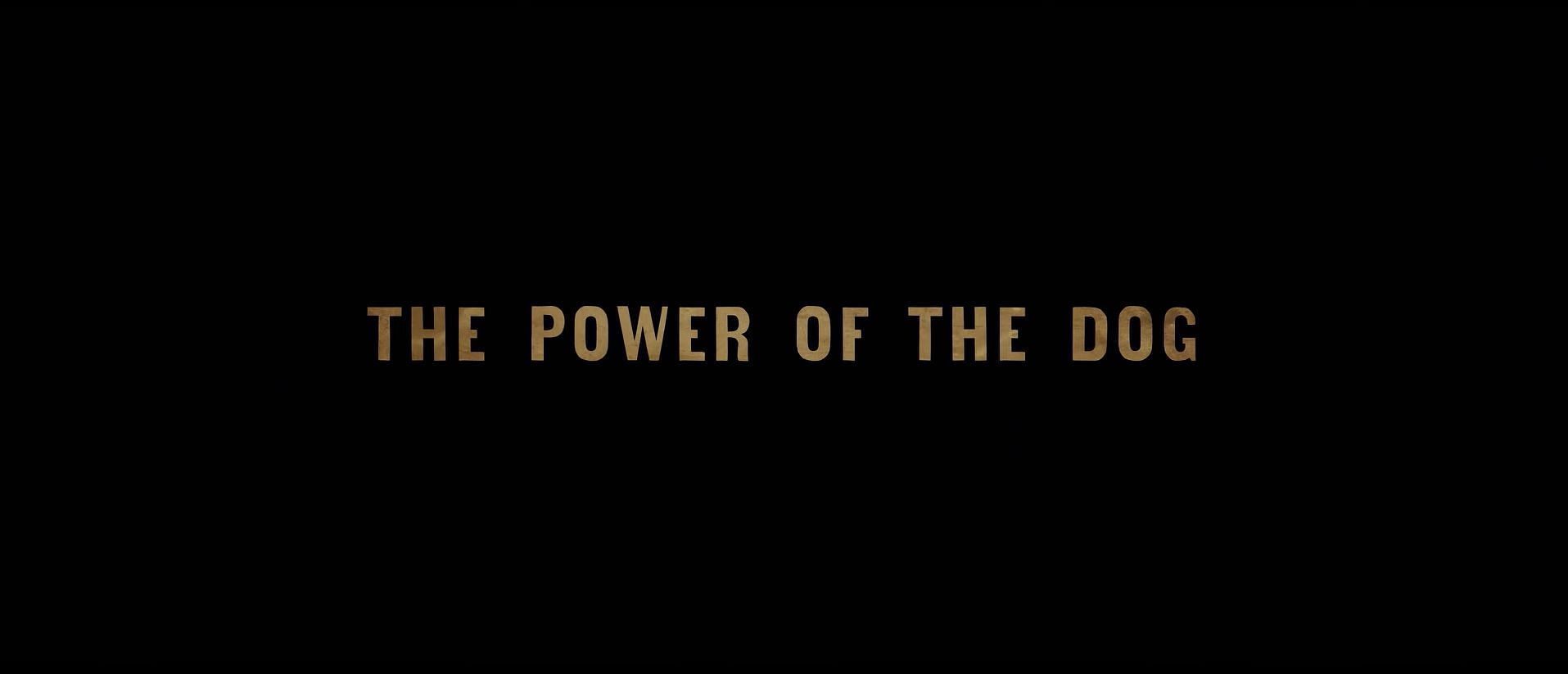 The Power of the Dog (Image via Netflix)