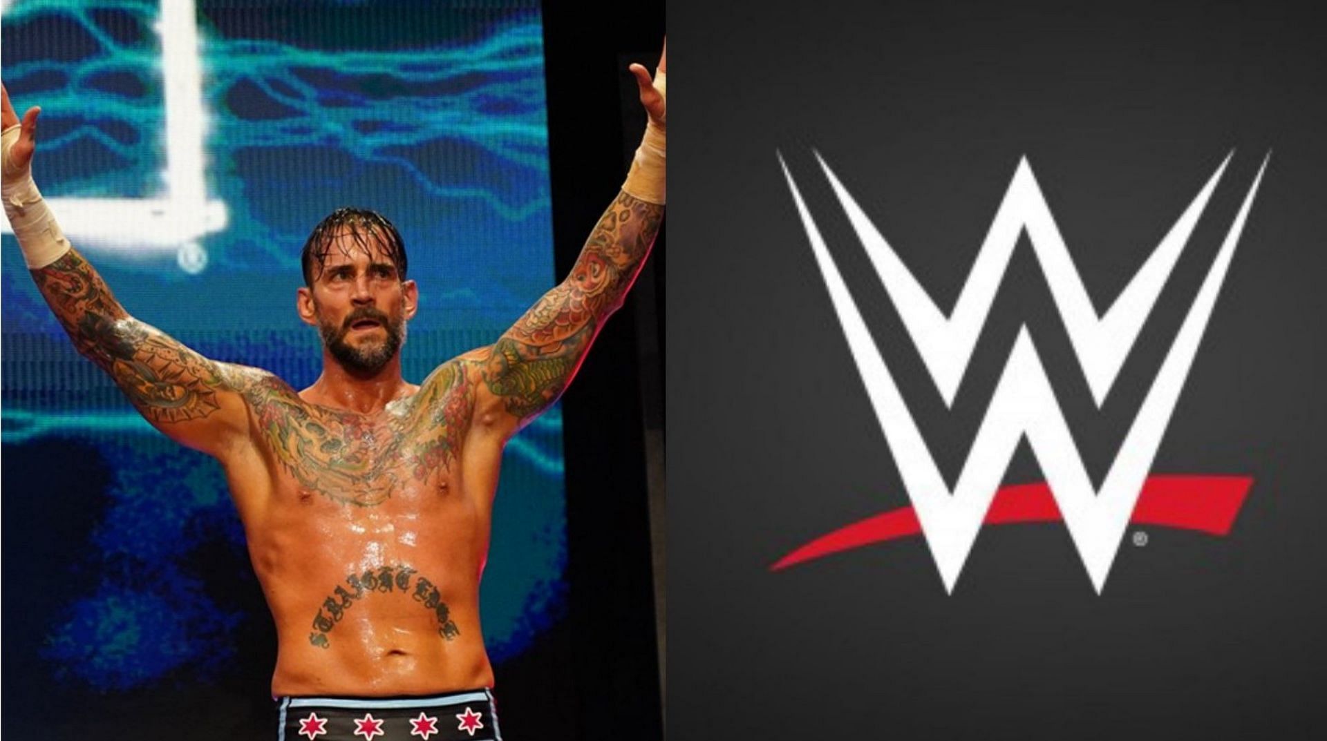 CM Punk is a former WWE Champion!