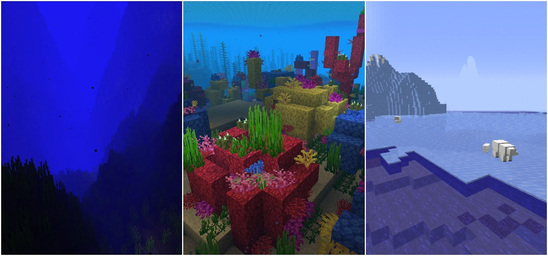 Deep ocean, coral reefs, frozen ocean (Image via Minecraft)