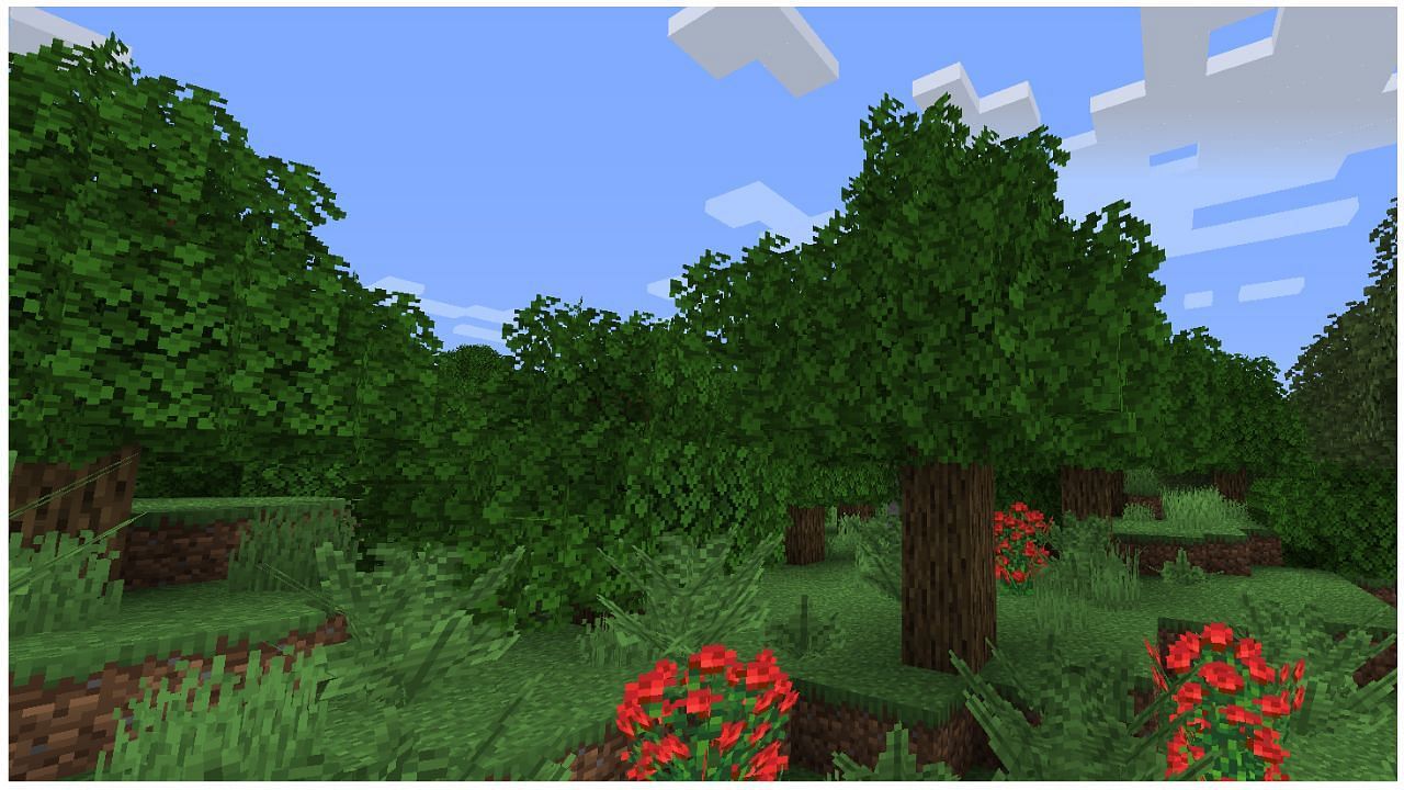 The Brunozamp Foliage resource pack in action (Image via Minecraft)