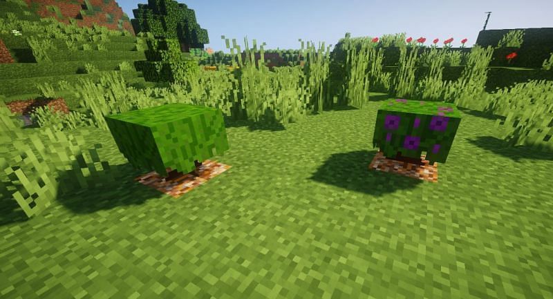 Azalea &amp; flowering azalea (Image via Minecraft)