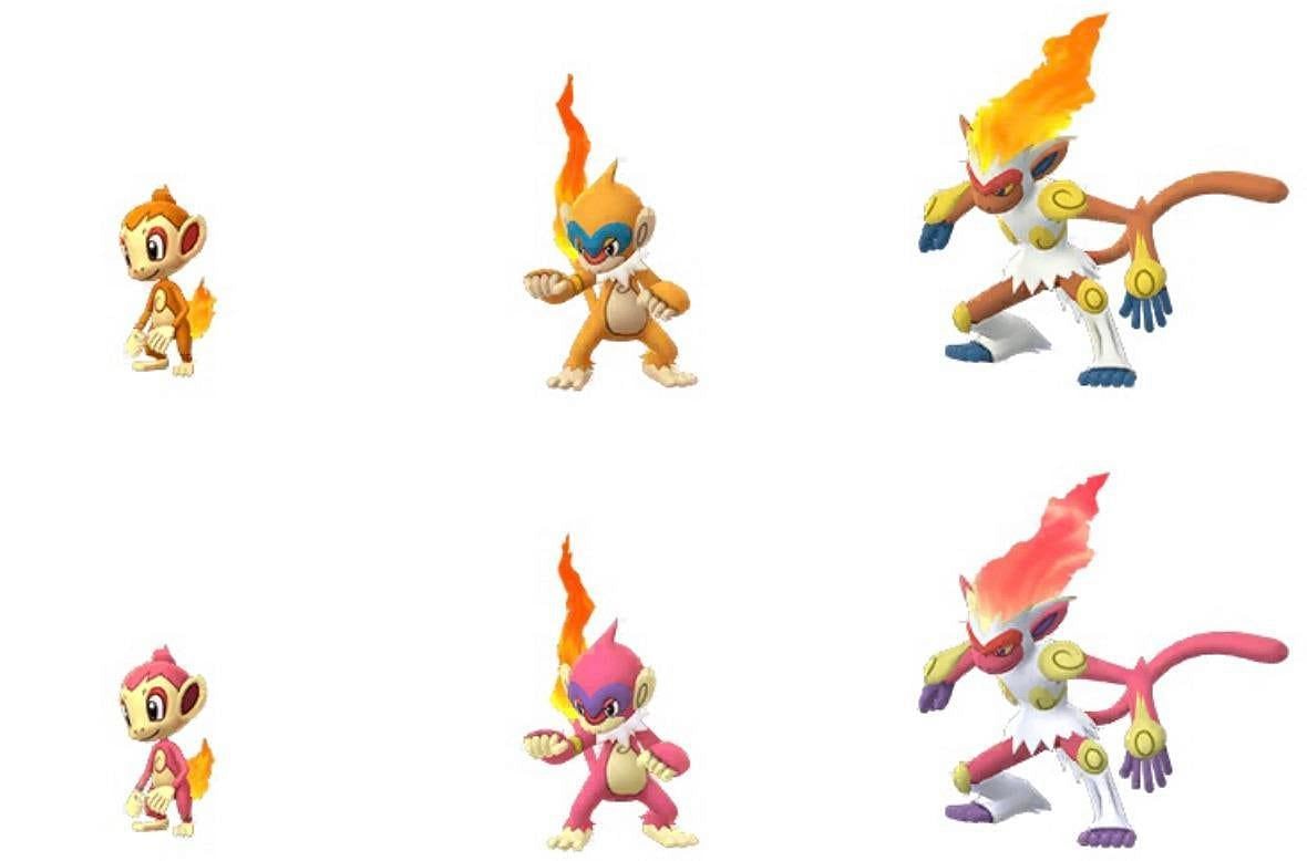 Standard and shiny Chimchar and its evolutions compared by appearance (Image via Niantic)