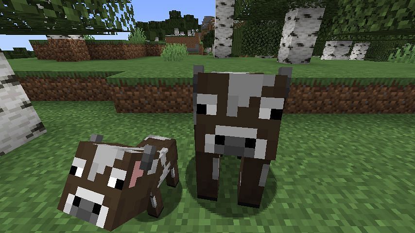 Cows in Minecraft (Image via Minecraft)