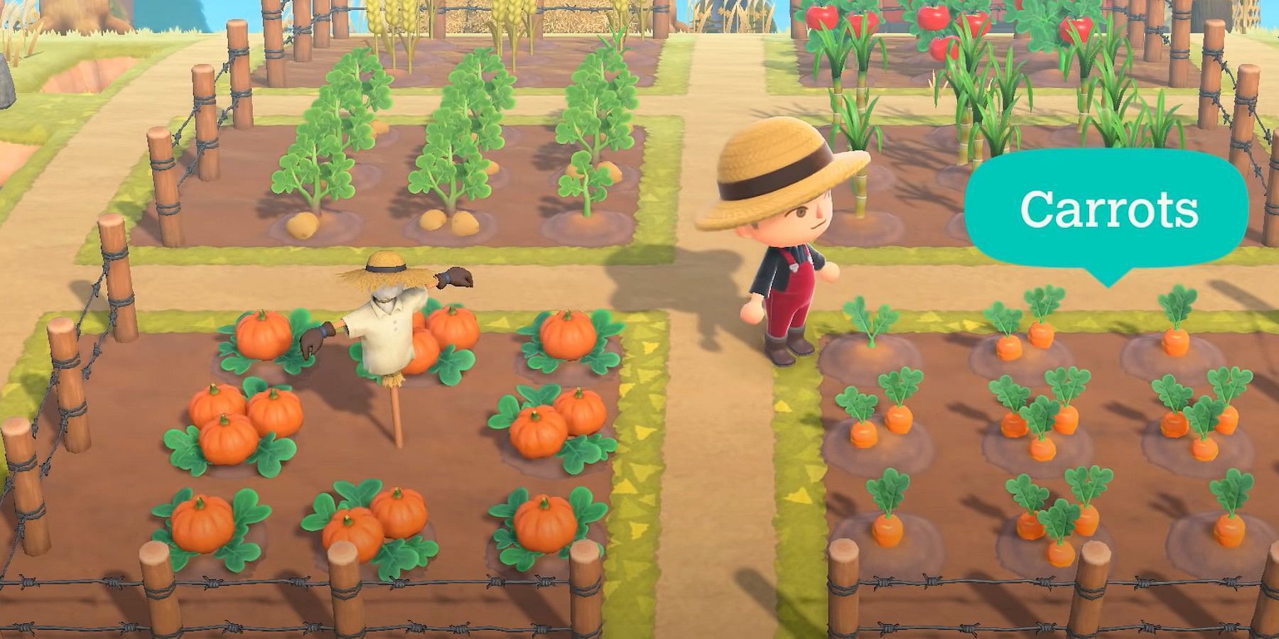 Carrots were featured in the Animal Crossing: New Horizons Nintendo Direct. Image via Nintendo