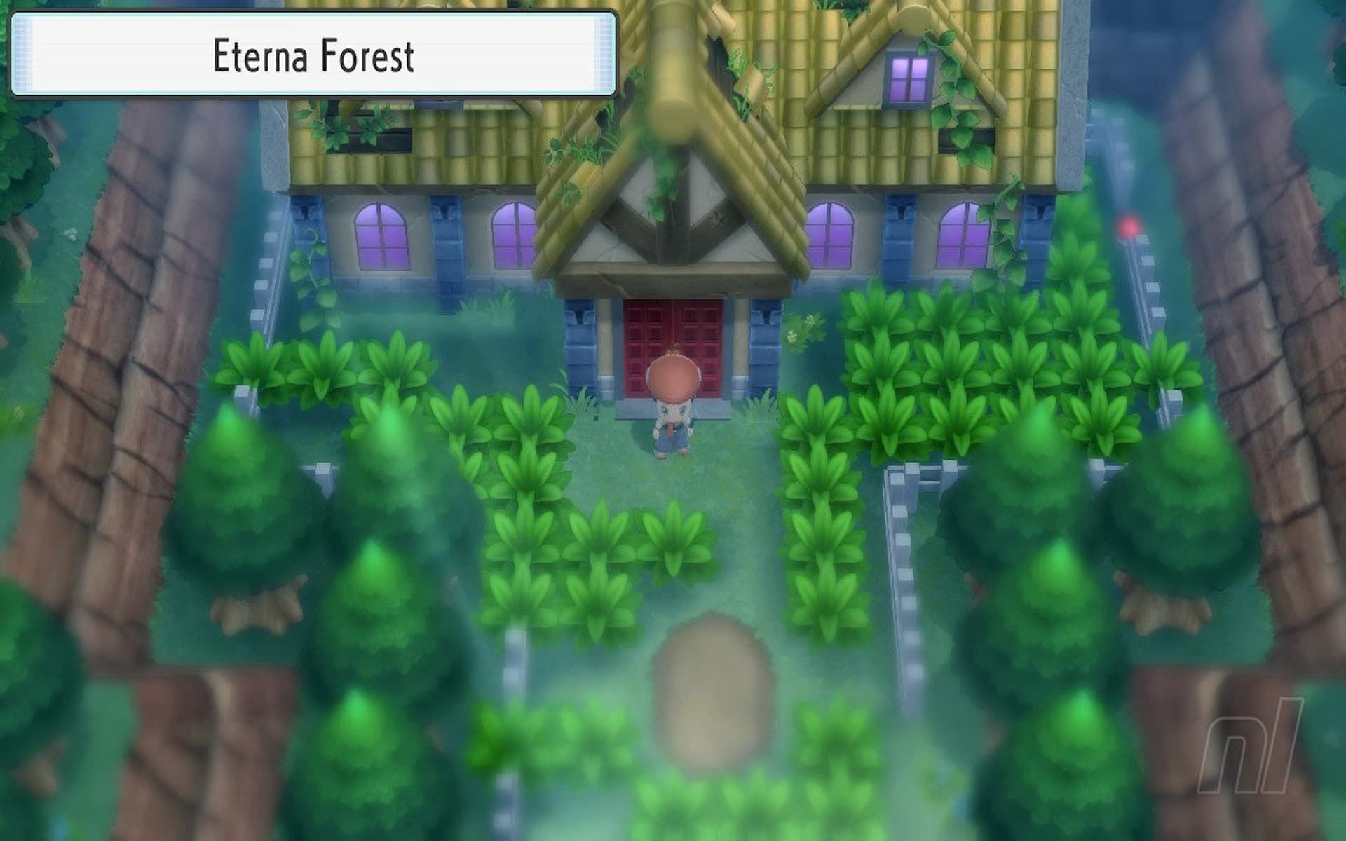 A trainer in an area with fog. (Image via ILCA)