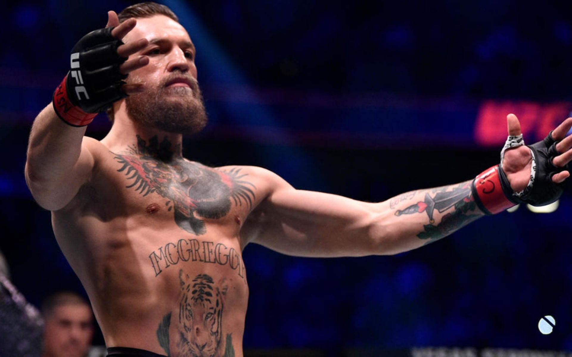 In the eyes of UFC fans, Conor McGregor is a largely divisive figure