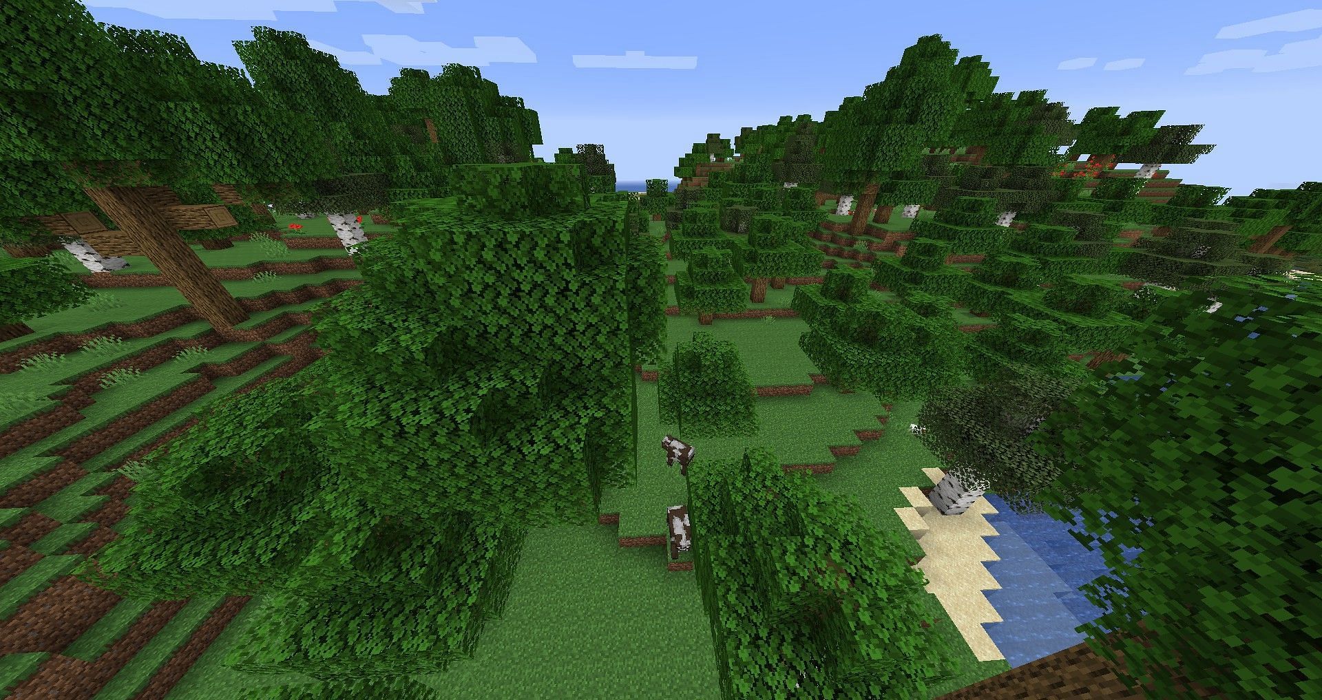 Forest biome (Image via Minecraft Wiki)