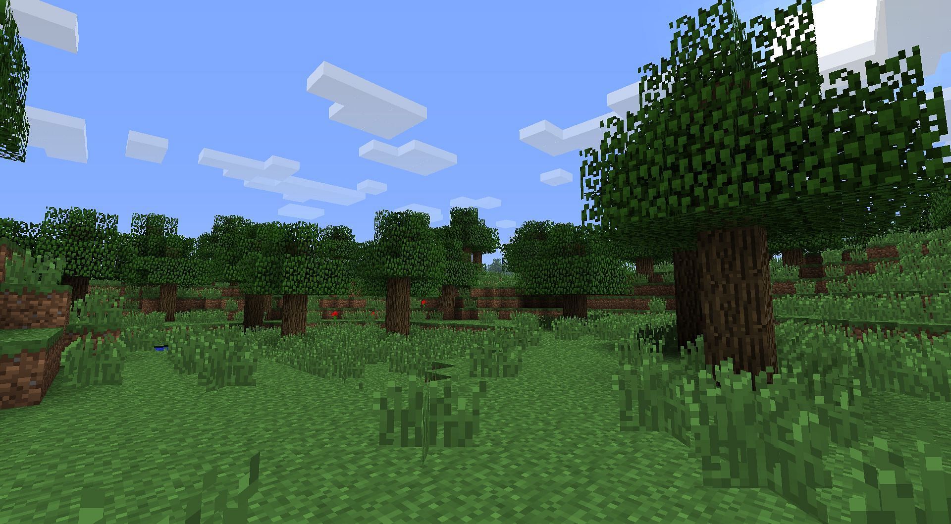 Forest biome (Image via Minecraft)