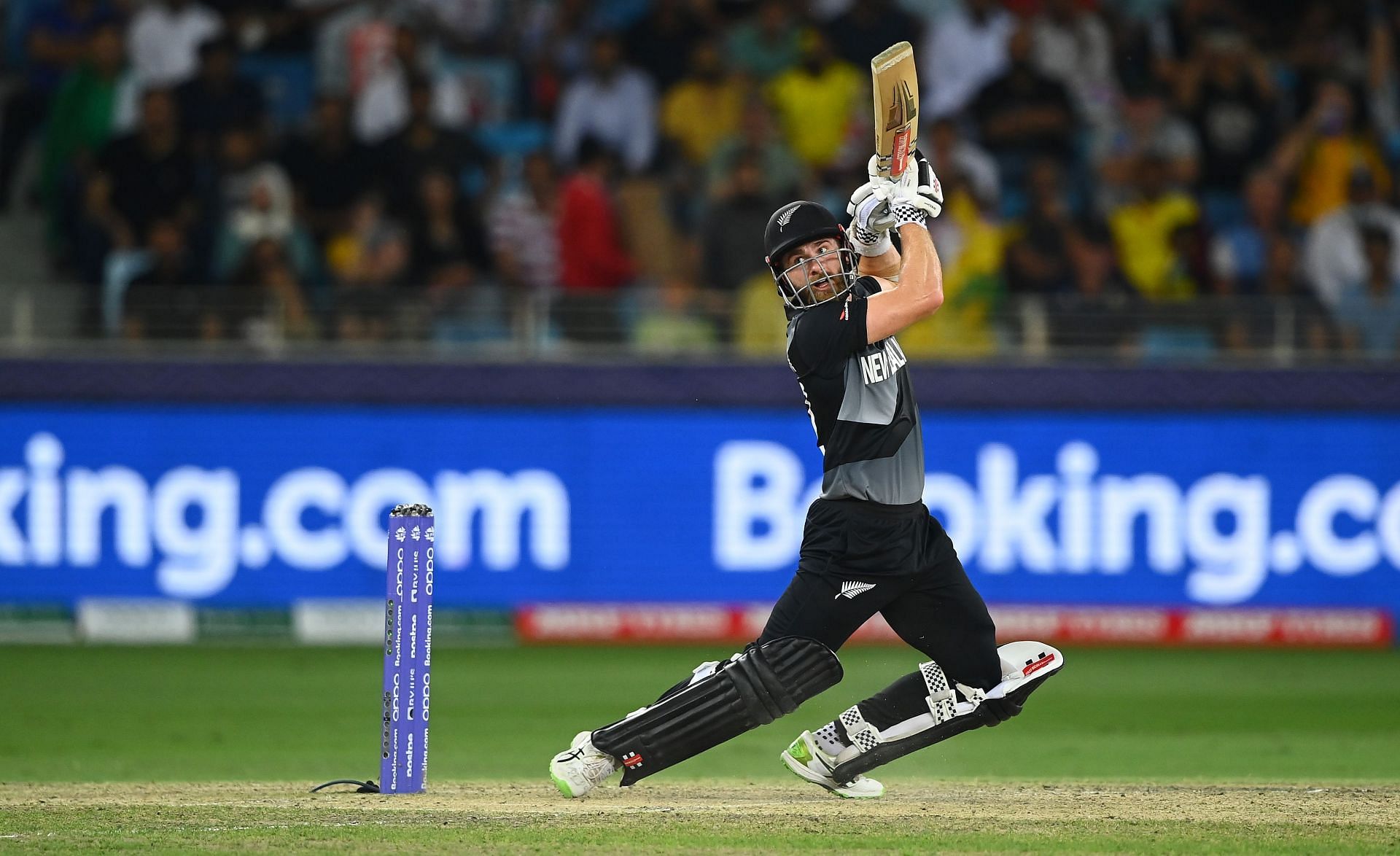 T20 World Cup 2021 Kane Williamson Delivers On The Biggest Stage But Solo Heroics Go In Vain 6094