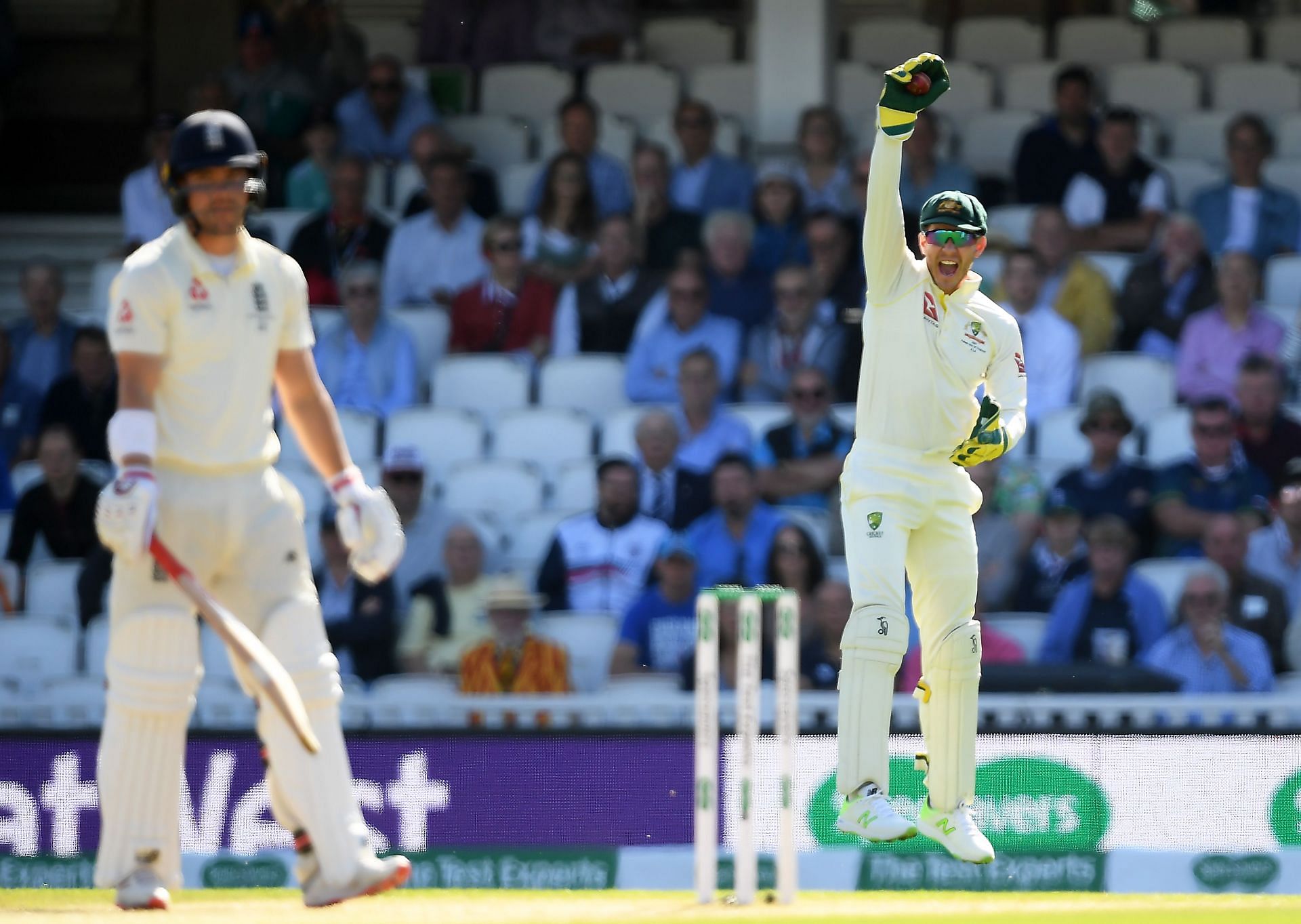 Tim Paine appeals during Ashes 2019. Pic: Getty Images