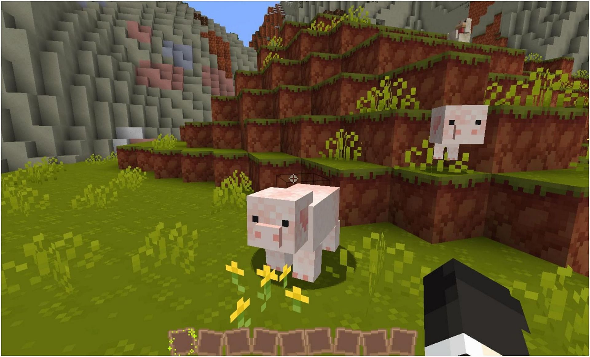 Cuter textures of Pigs in Minecraft (Image via Minecraft)