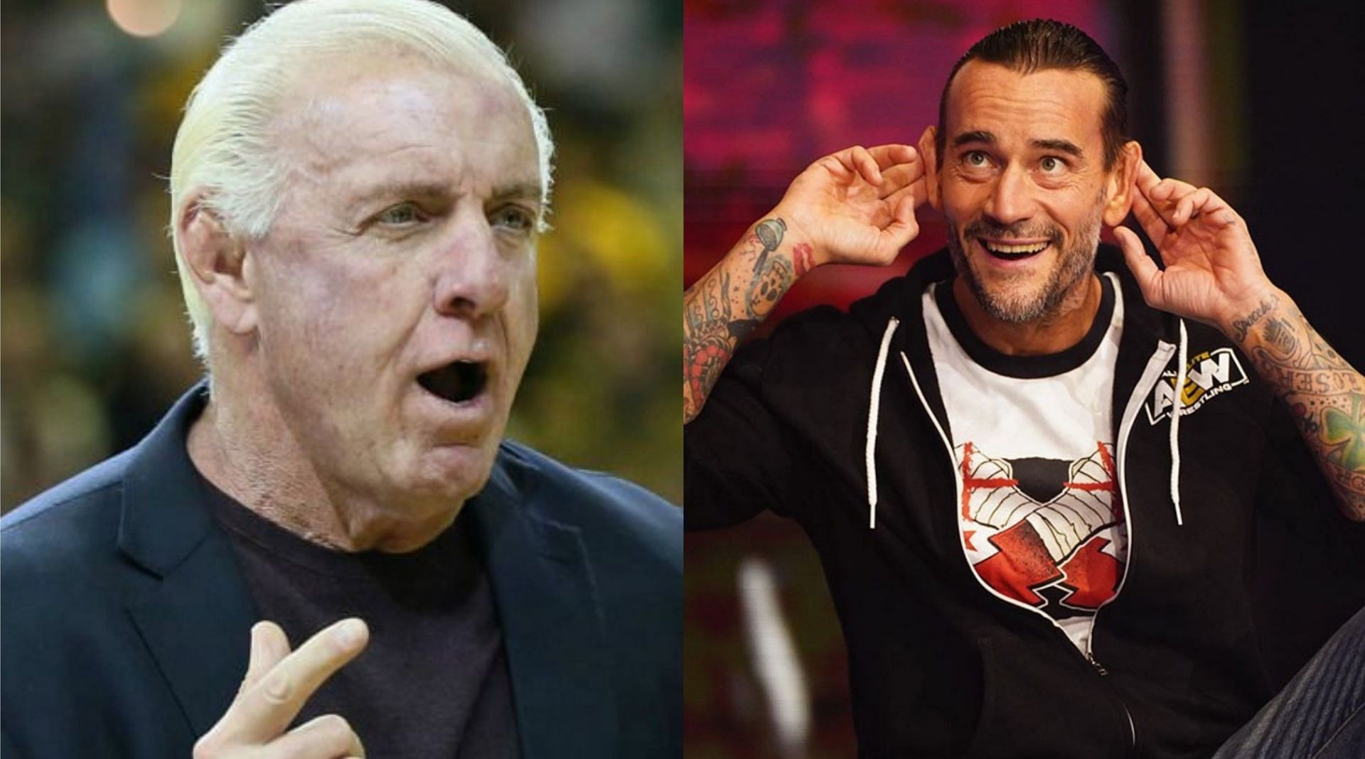 Ric Flair (left) and CM Punk (right)