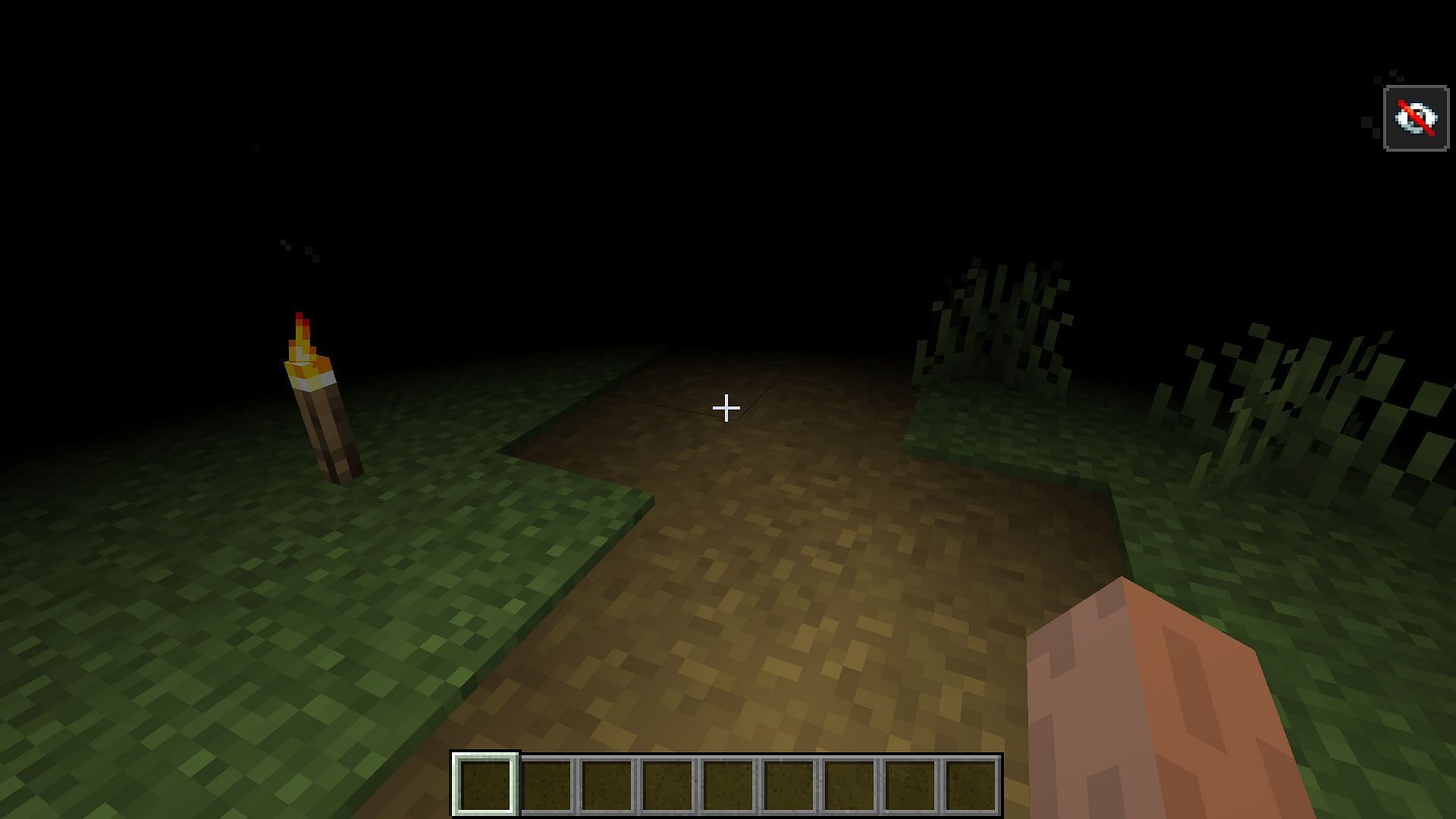 Eye drops cure blindness, which makes it nearly impossible to see (Image via Minecraft)
