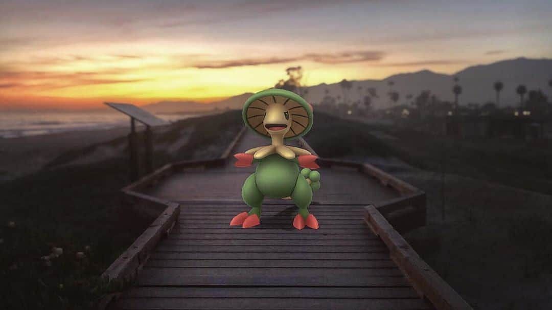Breloom is great when brought along by a trainer and given some attention, but it doesn&#039;t shine much as a raid boss (Image via Niantic)