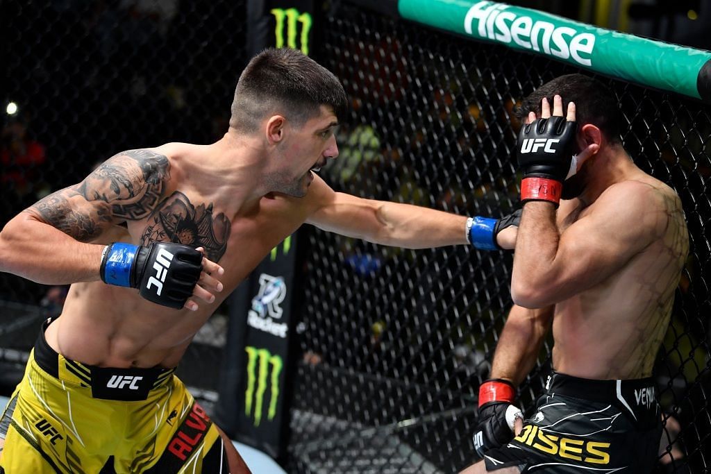 Joel Alvarez picked up his first UFC knockout by viciously stopping Thiago Moises