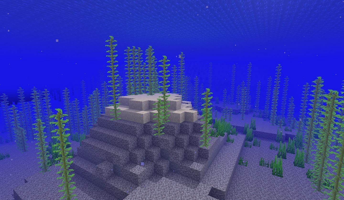 Cold Ocean (Image via Minecraft Wiki)