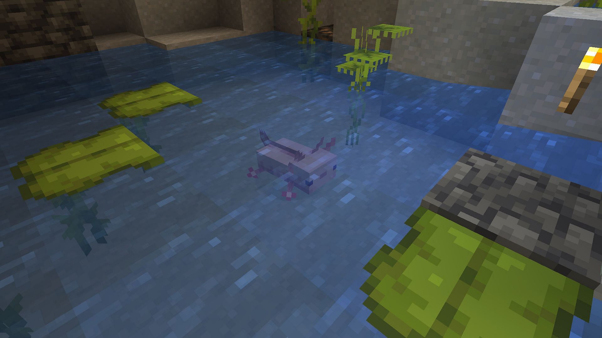 Axolotl in lush cave (Image via Minecraft)