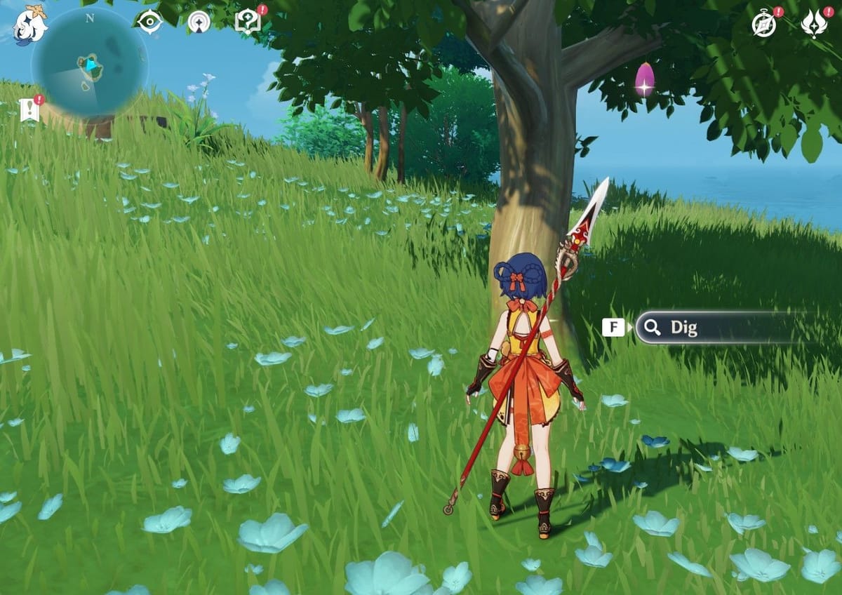 All 6 buried chest locations in Inazuma in Genshin Impact