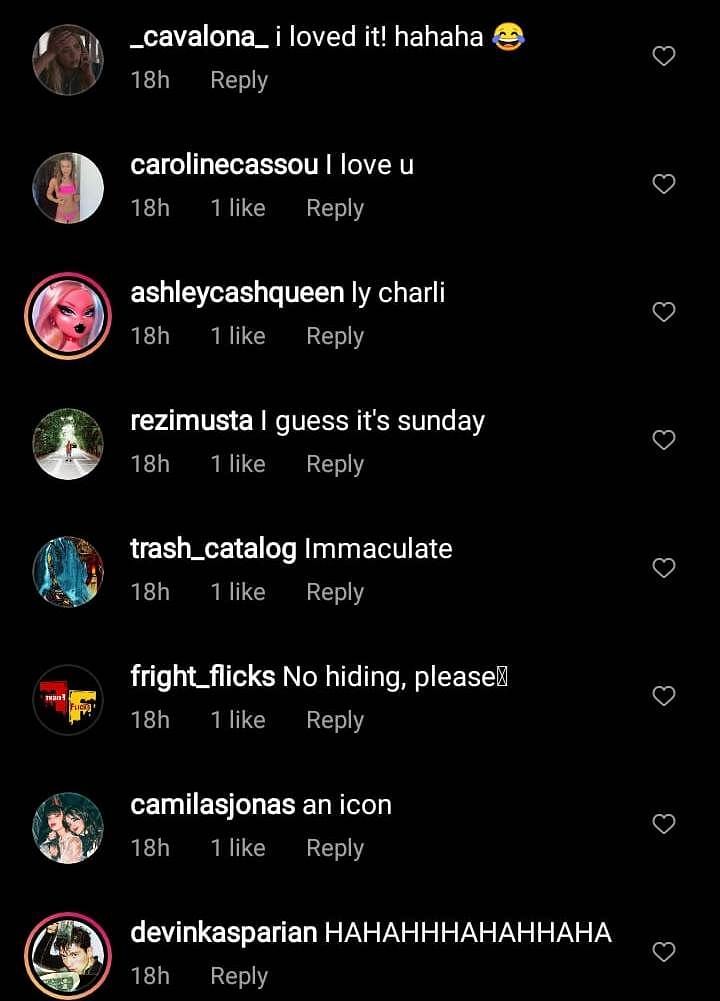 Instagram comments 2/3 (Image via Instagram/Charli XCX)