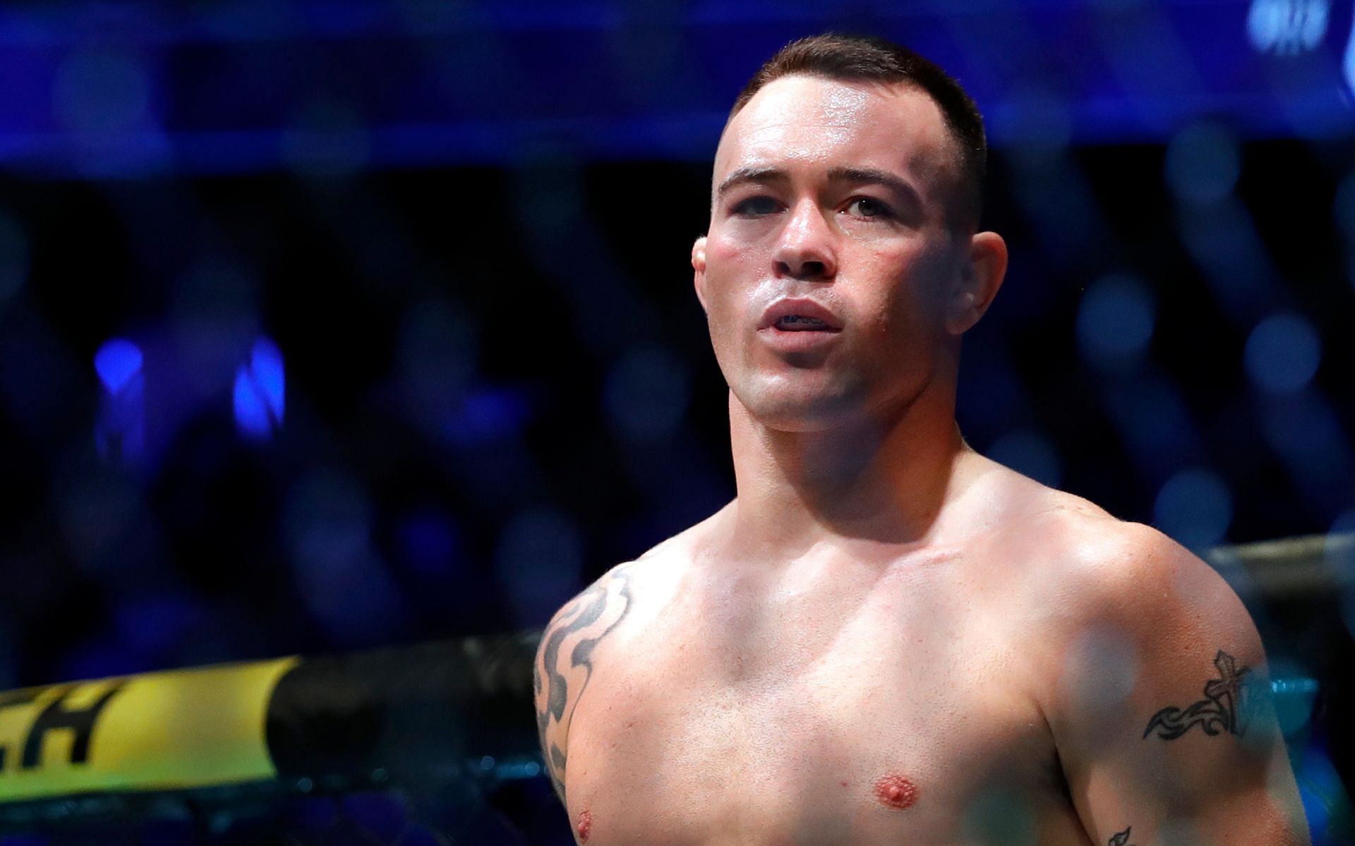 UFC welterweight fighter Colby Covington
