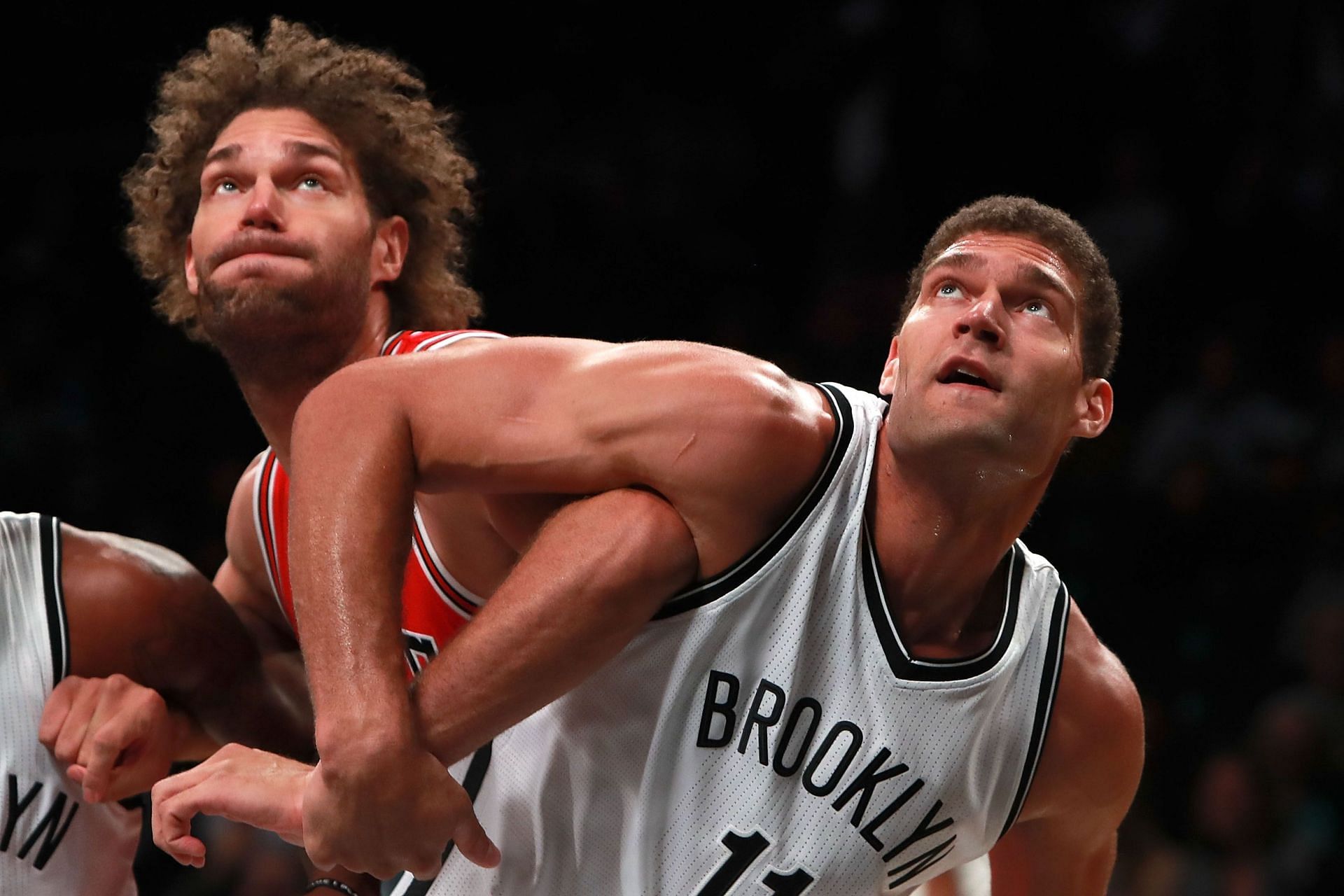 Robin and Brook Lopez have been in the NBA since 2008.