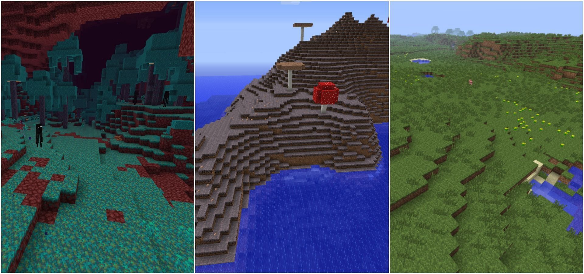 Warped forest, Mushroom biome and Plains are relatively safe biomes in the game (Image via Minecraft)