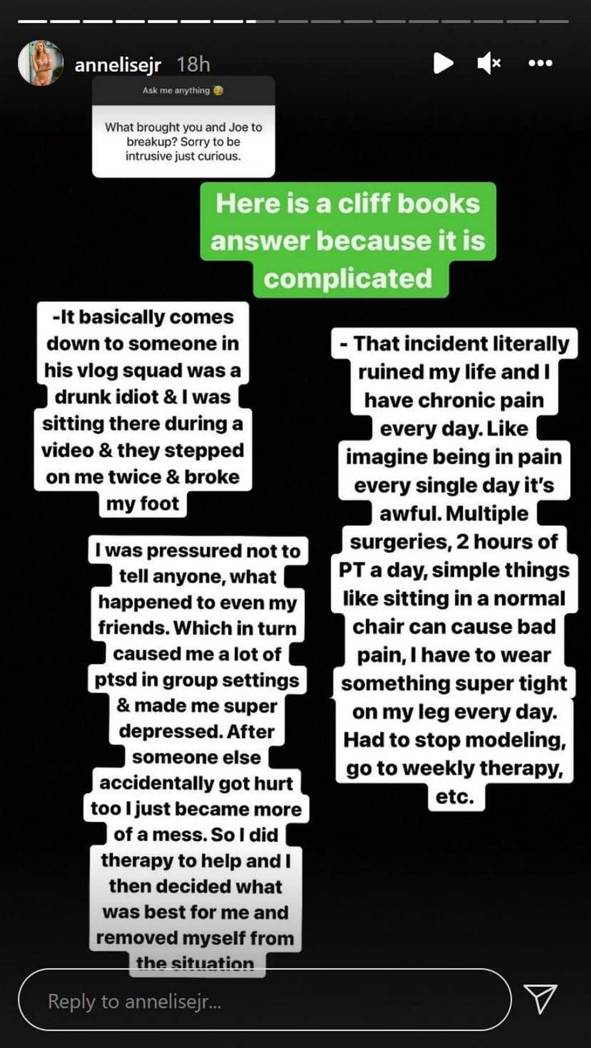 Annelise JR&rsquo;s Instagram story detailing the incident (Image via Instagram/annelisejr)