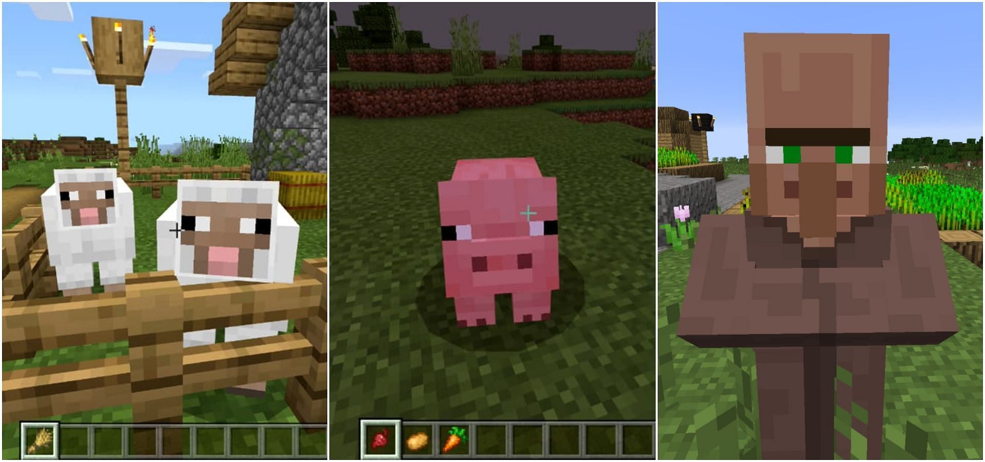 Sheep, Pigs, Villager (Image via Minecraft)