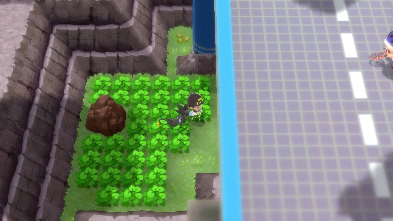 A trainer near the entrance to Wayward Cave under Cycling Road. (Image via ILCA)